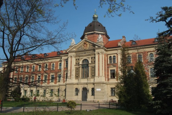 Краковская школа бизнеса